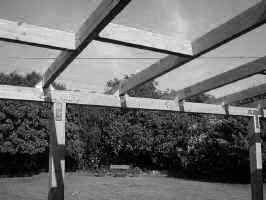 sJNJRoof004.JPG (31028 bytes)