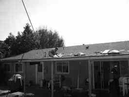 sJNJRoof007.JPG (28063 bytes)